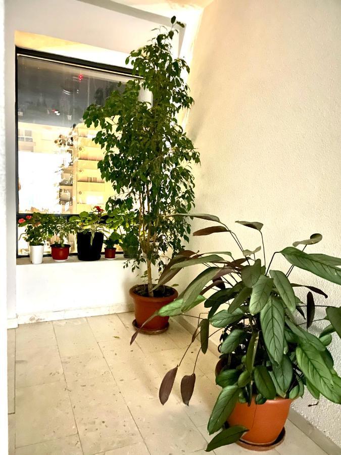Naki Apartman Daire Podgoriçe Dış mekan fotoğraf